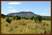 Round Mountain