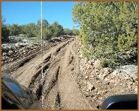 Well-maintained curving ranch road with open desert views