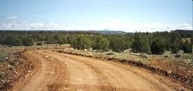 Freshly graded straight ranch road through the forest