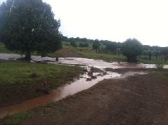 Flooded ranch road with standing water after heavy rain